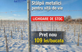 Stâlpii metalici pentru viță-de-vie – doar 109 lei/bucata