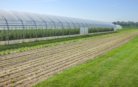 Produse metalice pentru agricultură